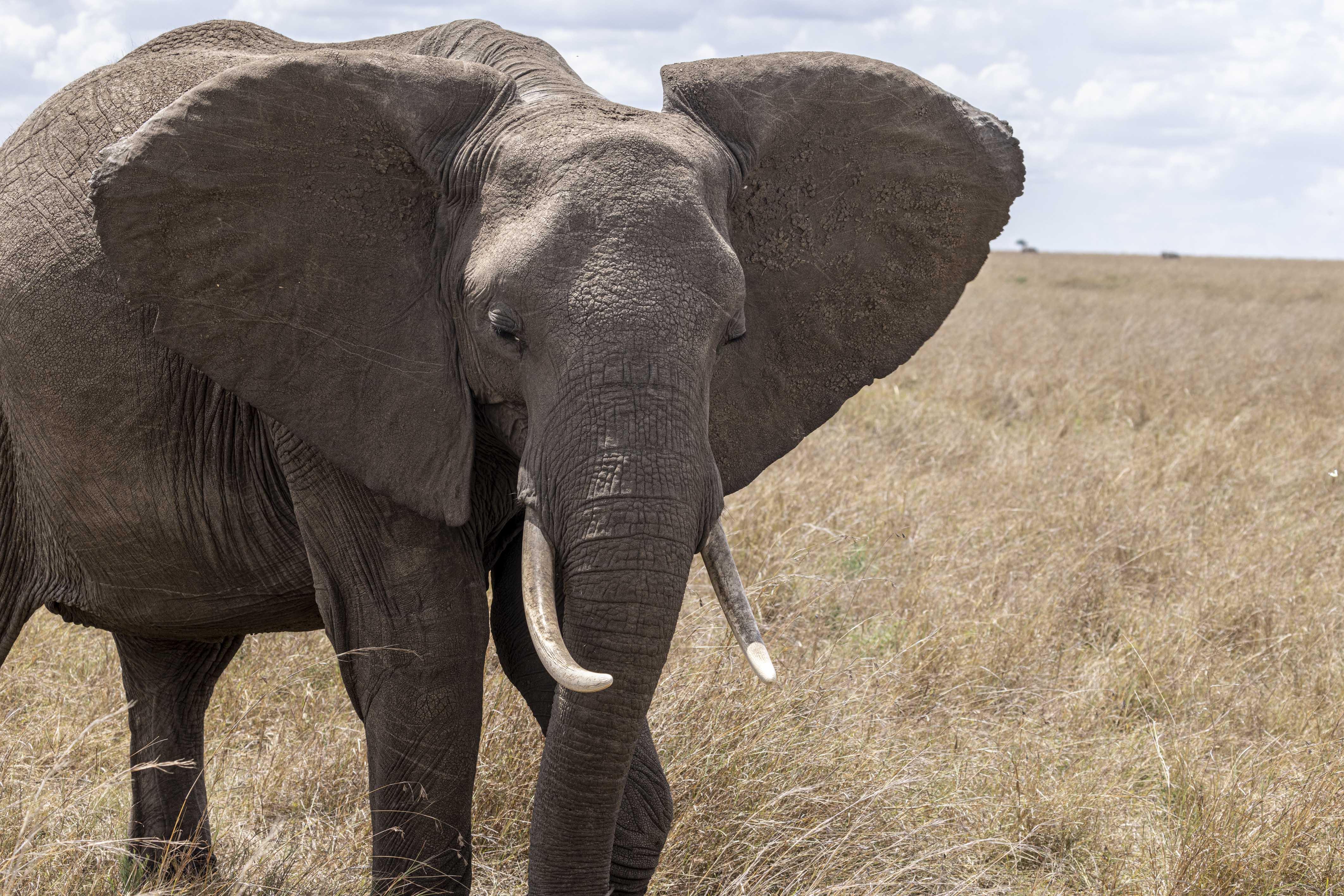 November 10, 2022-111438-3.jpg